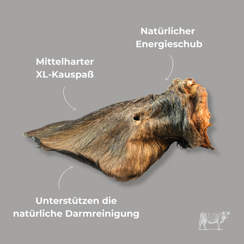 Premium Naturkauartikel - PURECHEW - Fur Box