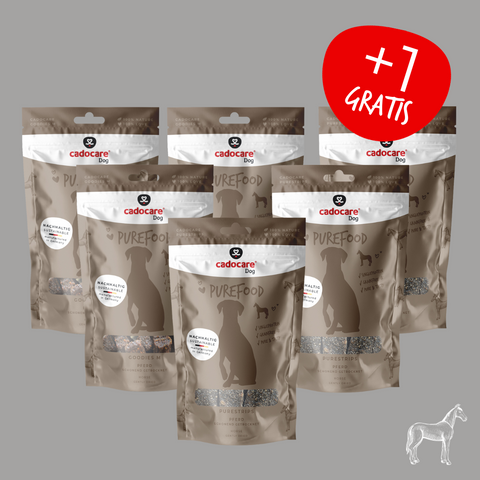 cadocare Hundesnacks - Horse Box