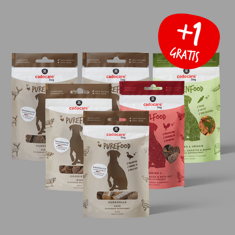 cadocare Hundesnacks - Big Dog Box