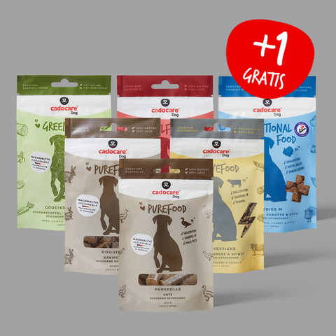 cadocare Hundesnacks - Happiness Box