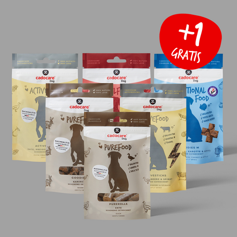 cadocare Hundesnacks - Small Dog Box