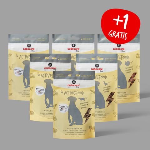 cadocare Hundesnacks - Sportive Box