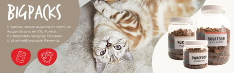 BigPacks Cat