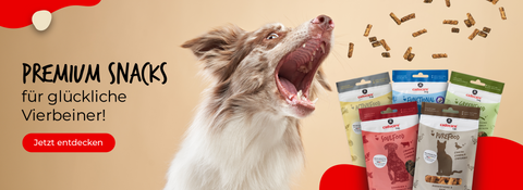 Dogs