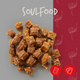 cadocare Hundesnacks - Soulfood Goodies M - Strauß